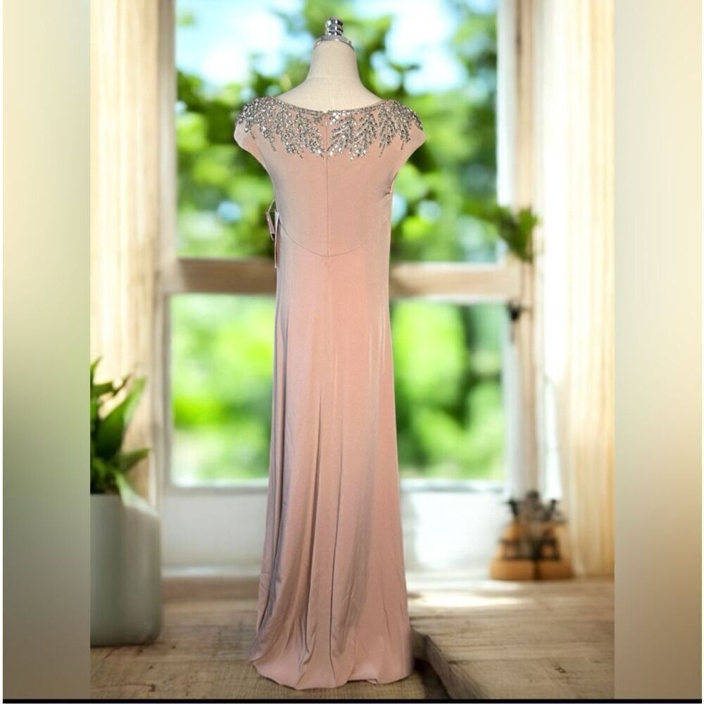 Theia Embellished Blush Gown Cap Sleeve Formal Dress - Picture 3 of 16